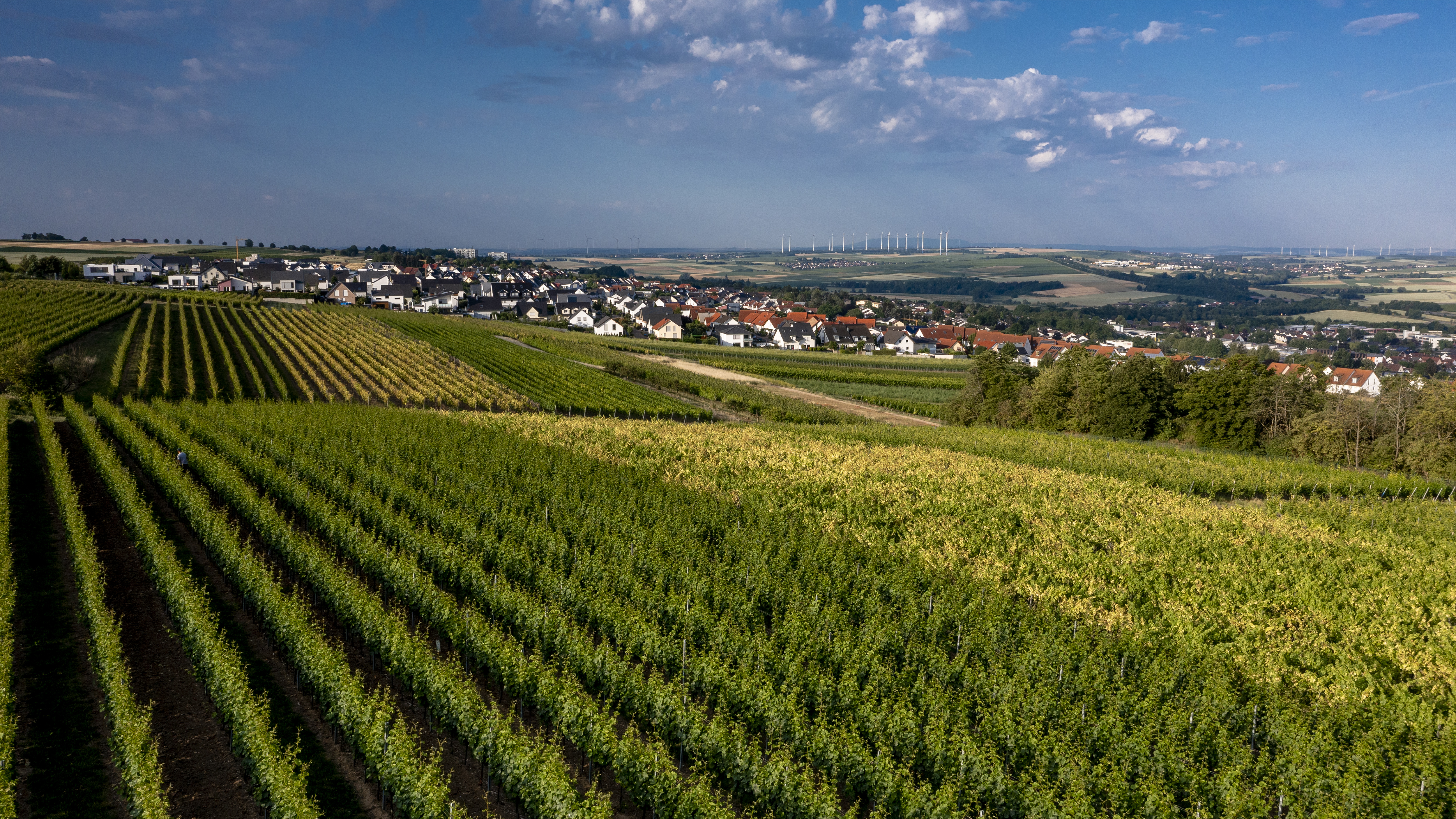 Spring Olmer Nieder-Olmer Klosterberg - Weinlagen - Terroir - Anbaugebiet ...